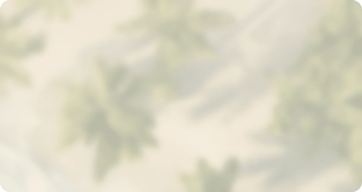 Aloha Startups Contact